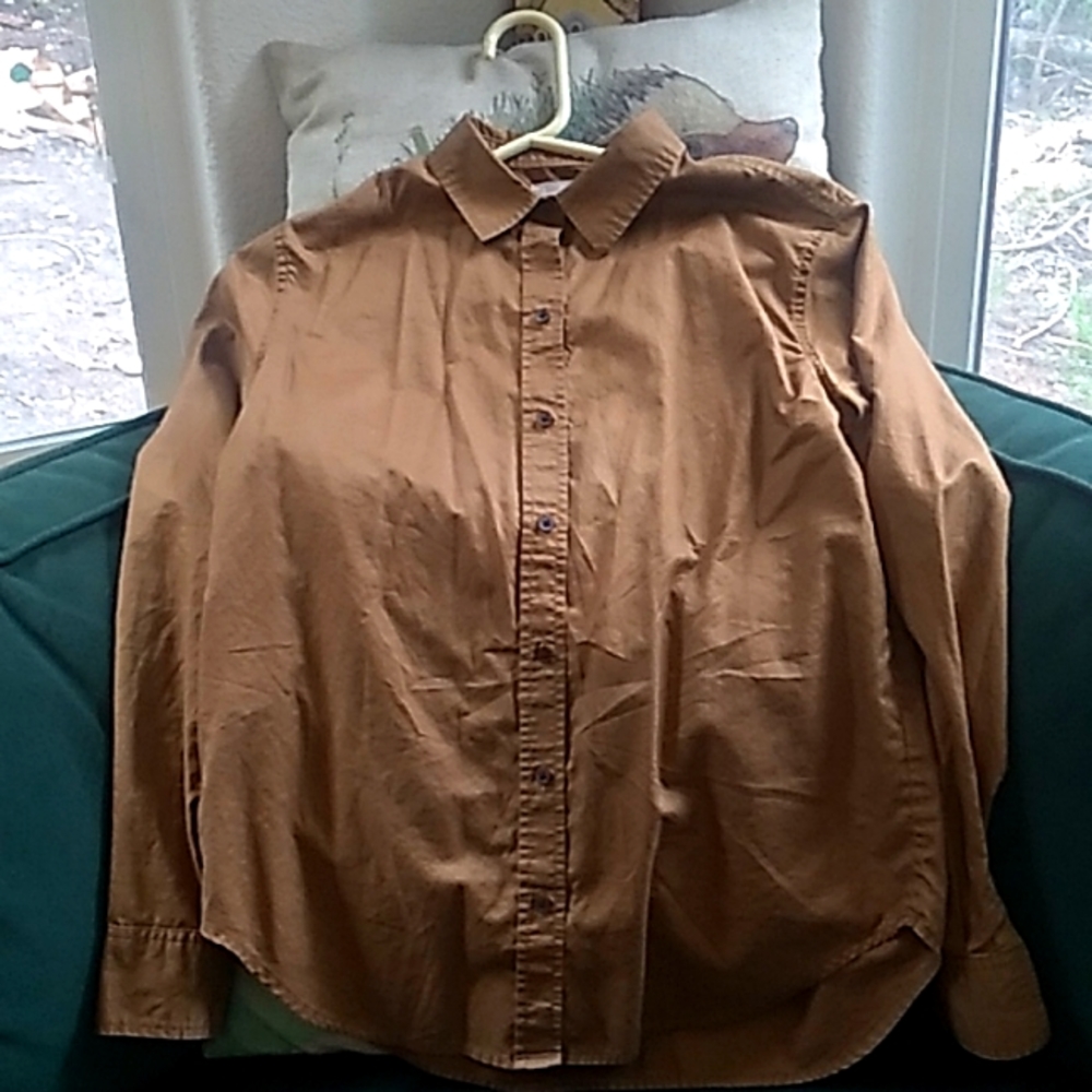 Everlane Brown Button Down Shirt